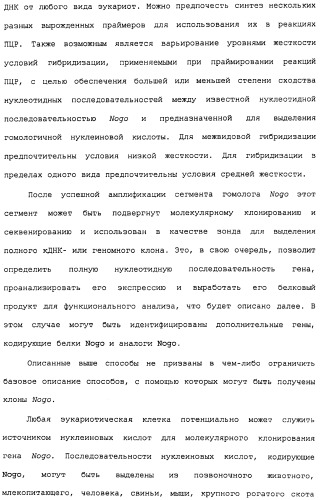 Поликлональное антитело против nogo, фармацевтическая композиция и применение антитела для изготовления лекарственного средства (патент 2432364)