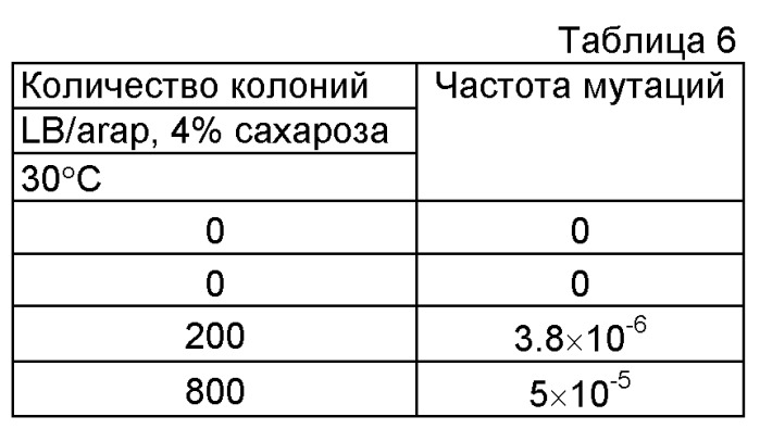 Плазмида без устойчивости к антибиотику (патент 2548809)