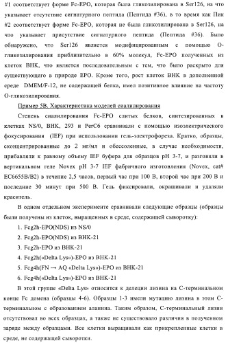 Fc-эритропоэтин слитый белок с улучшенной фармакокинетикой (патент 2370276)