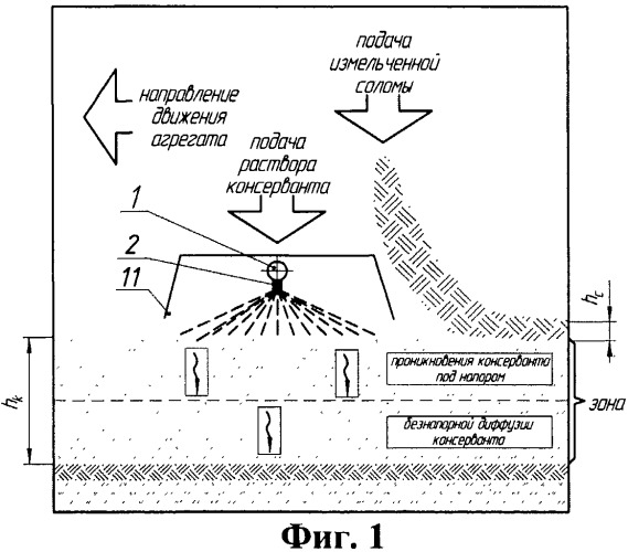 Способ обработки силосуемых кормов биоконсервантами и устройство для его осуществления (патент 2443129)