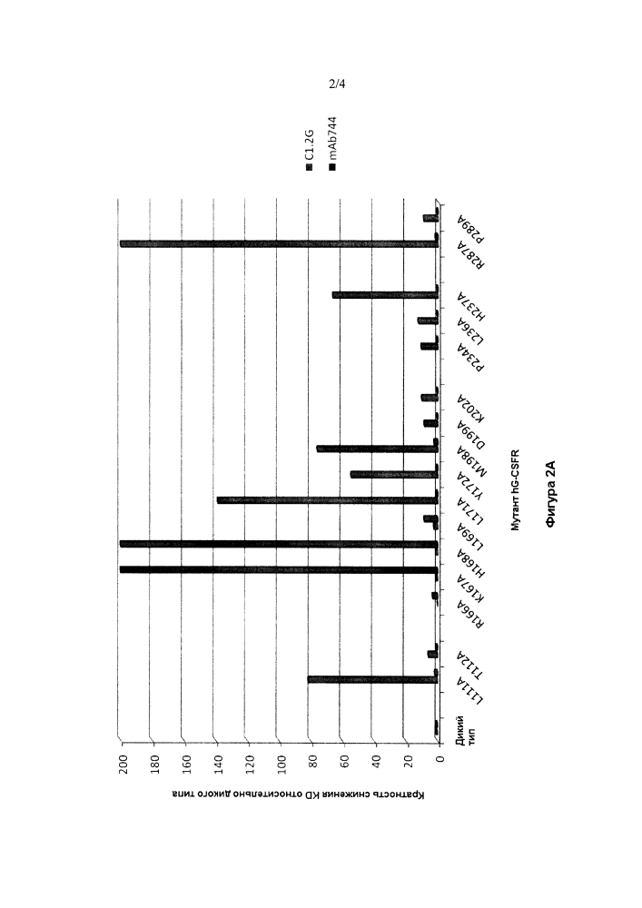 Антитела против g-csfr и их применение (патент 2605595)