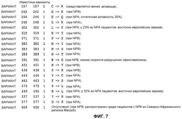 Медленная внутрижелудочковая доставка (патент 2452368)