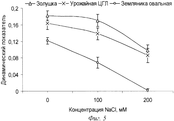 Способ оценки реакции растений на токсичные вещества (патент 2360402)