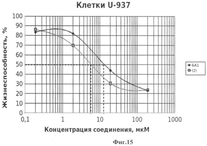 Гидрированная бетулоновая кислота и ее амиды как противоопухолевые средства тритерпеновой природы (патент 2448115)