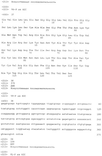 Pscaxcd3, cd19xcd3, c-metxcd3, эндосиалинxcd3, epcamxcd3, igf-1rxcd3 или fap-альфаxcd3 биспецифическое одноцепочечное антитело с межвидовой специфичностью (патент 2547600)