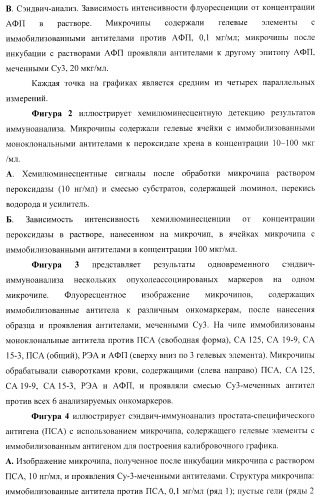 Биологический микрочип для множественного параллельного иммунологического анализа соединений и способы иммуноанализа, в которых он используется (патент 2363955)