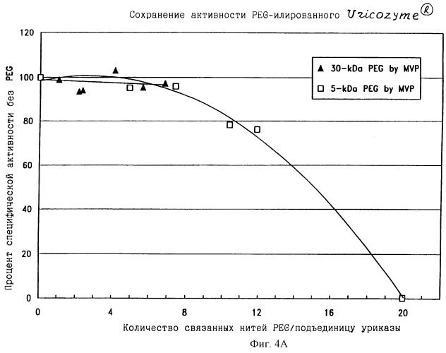 Конъюгаты peg-уриказы и их использование (патент 2246318)