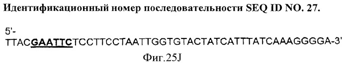 Иммуногенный эпитоп вируса гриппа (патент 2546872)