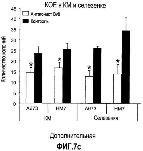 Ингибирование ангиогенеза (патент 2471498)