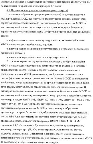 Линии клеток почки собаки майдин-дэрби (mdck), поддерживающие рост вирусов до высоких титров, и способ применения этих клеток в биореакторе (патент 2487935)