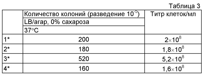 Плазмида без устойчивости к антибиотику (патент 2548809)