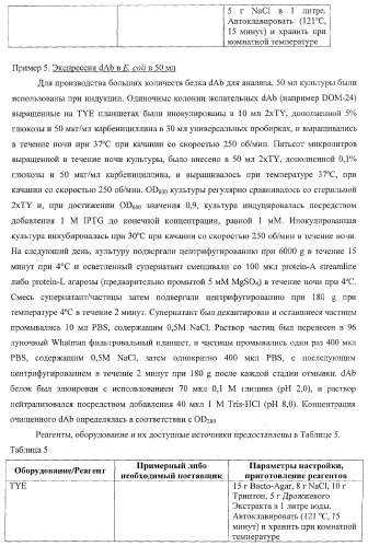 Моновалентные композиции для связывания cd40l и способы их применения (патент 2364420)