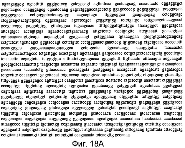 Способы выявления воспалительного заболевания кишечника (патент 2502806)