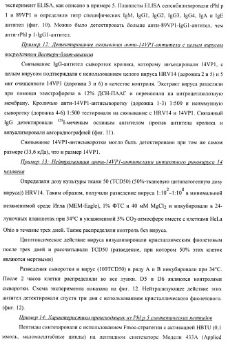 Гипоаллергенный слитый белок, молекула нуклеиновой кислоты, кодирующая его, вектор экспрессии, клетка-хозяин, вакцинная композиция и его применение (патент 2486206)