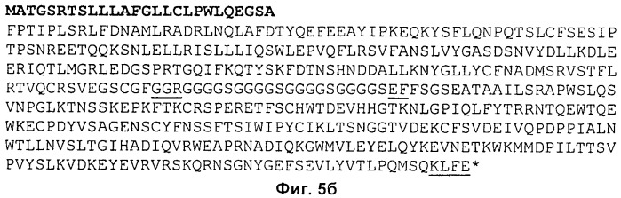 Полипептиды модифицированного гормона роста (патент 2471808)