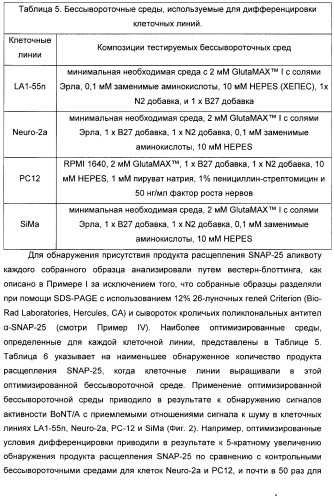 Иммунологические анализы активности ботулинического токсина серотипа а (патент 2491293)