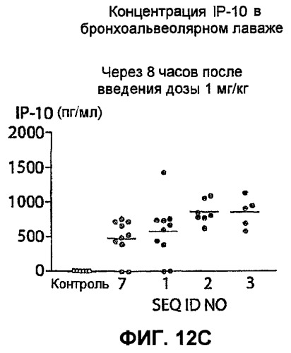 Полумягкие иммуностимулирующие олигонуклеотиды с-класса (патент 2393223)