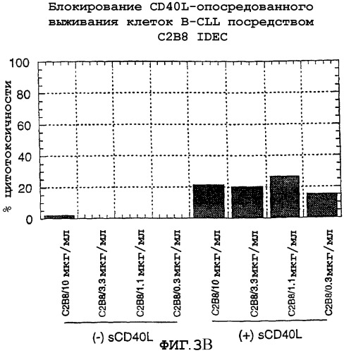 Лечение в-клеточных злокачественных опухолей с использованием комбинации применений, связанных с антителами, уменьшающими количество b-клеток, и с иммуномодулирующими антителами (патент 2306952)