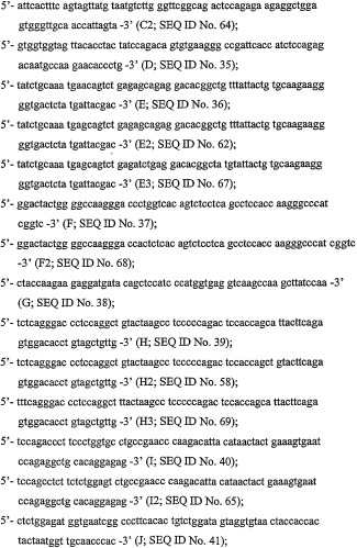 Комбинации антител, обладающих селективностью по отношению к рецептору лиганда, индуцирующему апоптоз, ассоциированный с фактором некроза опухоли, и других терапевтических средств (патент 2313368)