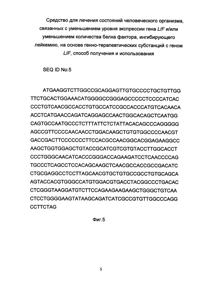 Средство для лечения состояний человеческого организма, связанных с уменьшением уровня экспрессии гена lif и/или уменьшением количества белка фактора, ингибирующего лейкемию, на основе генно-терапевтических субстанций с геном lif, способ получения и использования (патент 2653487)
