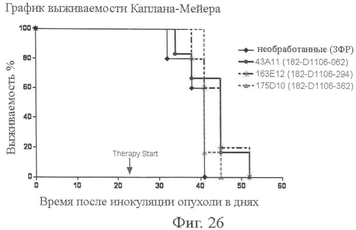 Моноклональные антитела к клаудину-18 для лечения рака (патент 2445319)