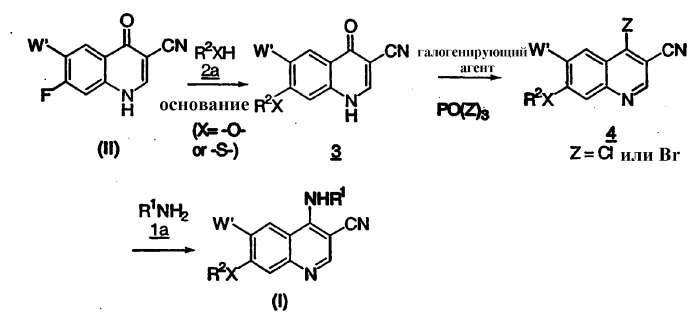 Способ получения 7-замещенного-3-хинолин и 3-хинол-4-он карбонитрилов (патент 2309149)
