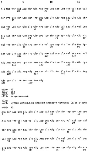 Мутеины липокалина слезной жидкости, обладающие аффинностью к с-мет рецепторной тирозинкиназе человека и способы их получения (патент 2515063)