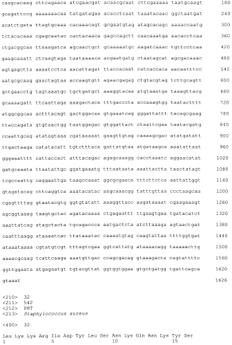 Стабильные иммуногенные композиции антигенов staphylococcus aureus (патент 2570730)