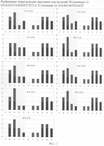 Способ диагностики аллелей t30n, s52g, i199v и r200q гена prkag3 (патент 2328531)
