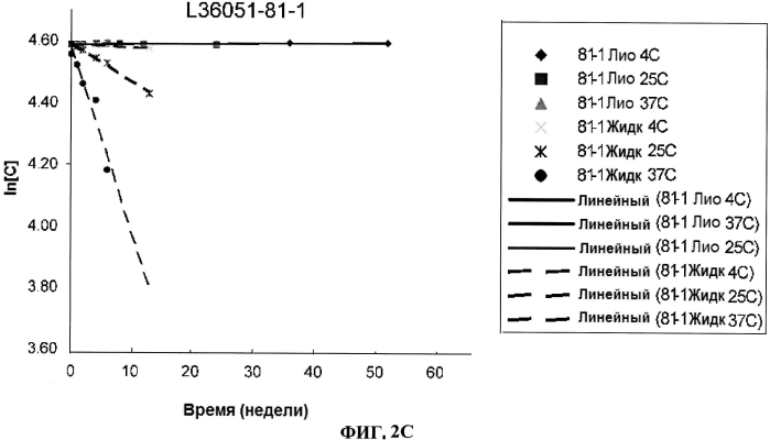 Стабильные иммуногенные композиции антигенов staphylococcus aureus (патент 2570730)