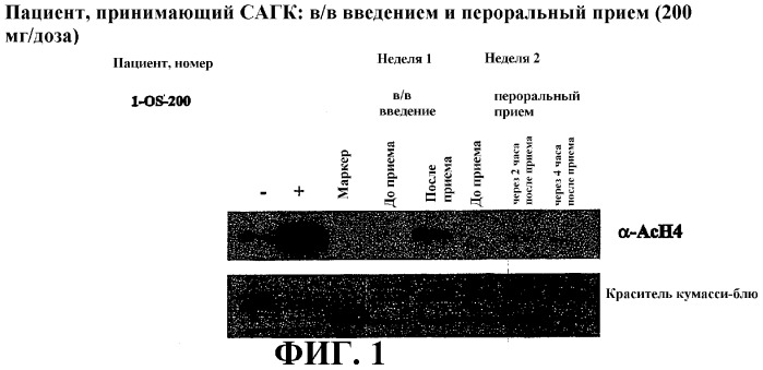 Способ индукции конечной дифференцировки (патент 2320331)