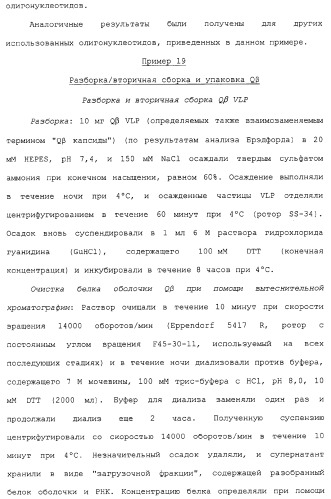 Композиции, содержащие cpg-олигонуклеотиды и вирусоподобные частицы, для применения в качестве адъювантов (патент 2322257)