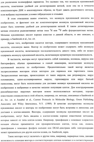 Идентификация варианта днк, связанного с гиполактазией взрослого типа (патент 2391404)