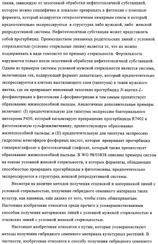 Способ избирательного получения растений с мужской или женской стерильностью (патент 2320722)