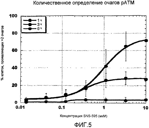 Способы применения (+)-1,4-дигидро-7-[(3s,4s)-3-метокси-4-(метиламино)-1-пирролидинил]-4-оксо-1-(2-тиазолил)-1,8-нафтиридин-3-карбоновой кислоты для лечения рака (патент 2428983)