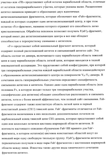 Химерные и гуманизированные антитела к cd44, которые опосредствуют цитотоксичность в отношении раковых клеток (патент 2487723)
