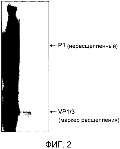 Конструкция (патент 2565537)