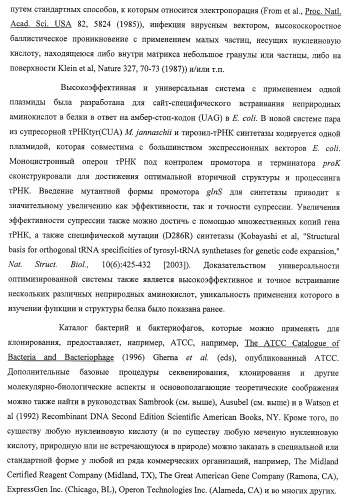 Система экспрессии компонентов ортогональной трансляции в эубактериальной клетке-хозяине (патент 2467069)