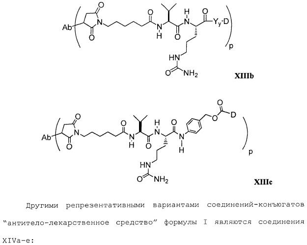 Антитела, сконструированные на основе цистеинов, и их конъюгаты (патент 2412947)