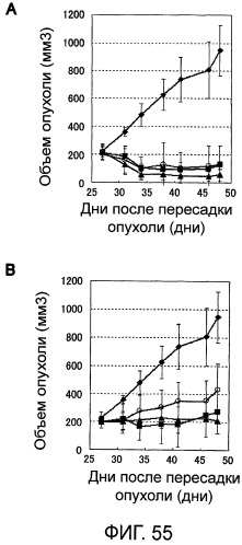 Способ модификации изоэлектрической точки антитела с помощью аминокислотных замен в cdr (патент 2510400)