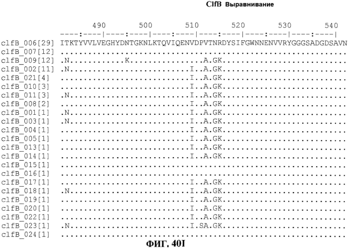 Стабильные иммуногенные композиции антигенов staphylococcus aureus (патент 2570730)