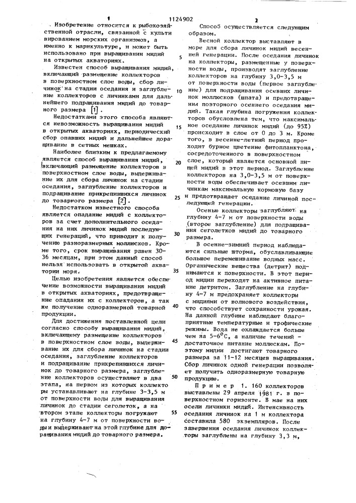 Способ выращивания мидий (патент 1124902)