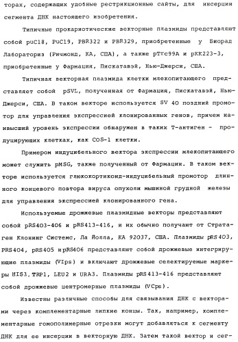 Vgc2 днк salmonella typhimurium, мутантная бактерия, обладающая пониженной способностью к адаптации к условиям окружающей среды, и способ ее получения (патент 2370541)
