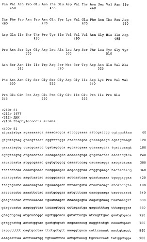 Иммуногенные композиции антигенов staphylococcus aureus (патент 2536981)