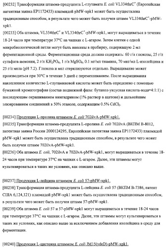 Использование фосфокетолазы для продукции полезных метаболитов (патент 2322496)