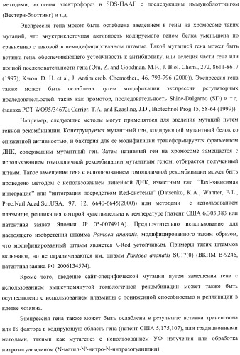Бактерия, принадлежащая к роду pantoea, - продуцент l-аспартата или метаболита, являющегося производным l-аспартата, и способ получения l-аспартата или метаболита, являющегося производным l-аспартата (патент 2411289)