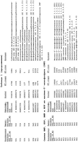 Гены corynebacterium glutamicum, кодирующие белки метаболических путей (патент 2306339)