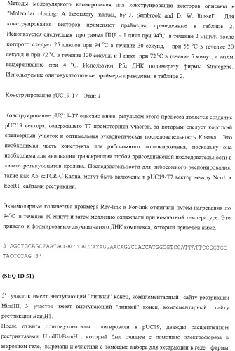 Экспонирование т-клеточных рецепторов (патент 2346004)