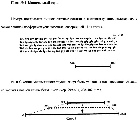 Конформационно аномальные формы белков тау и специфические антитела к ним (патент 2299889)