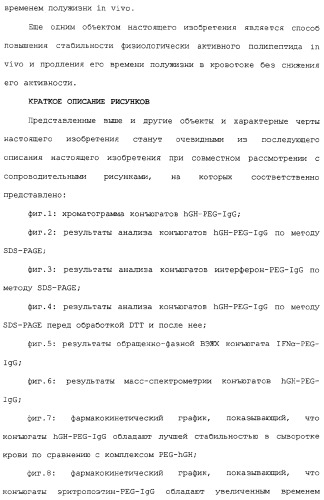 Физиологически активный полипептидный конъюгат, обладающий пролонгированным периодом полувыведения in vivo (патент 2312868)